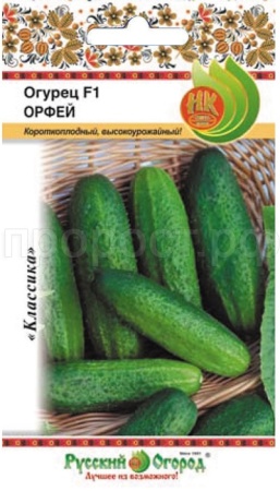 Огурец Орфей F1 10шт