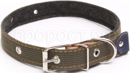 Ошейник брезентовый 25мм Н/У на фетре/180026/Бим