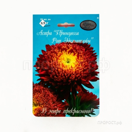 Астра Принцесса Рот Эдельштайн 20*1  Астра Принцесса Рот Эдельштайн 20*1