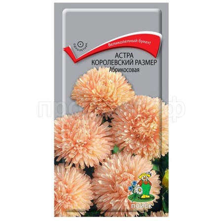Астра королевский размер Абрикосовая 0,1г  Астра королевский размер Абрикосовая 0,1г