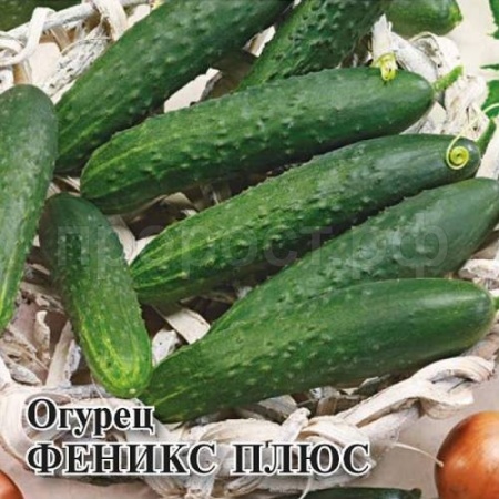 Гавриш Фермерская Огурец Феникс плюс 25 гр