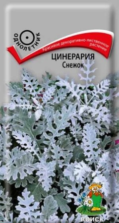Цинерария Снежок 0,1г