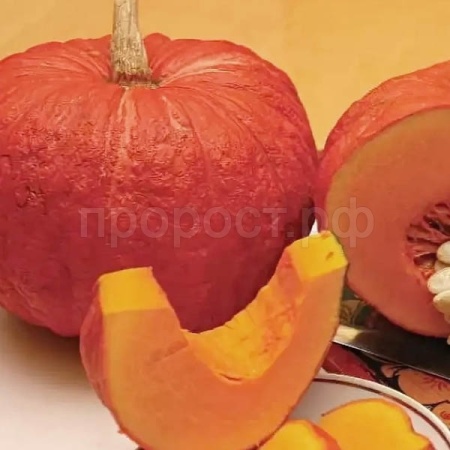 Поиск Тыква крупноплодная Конфетка 10шт