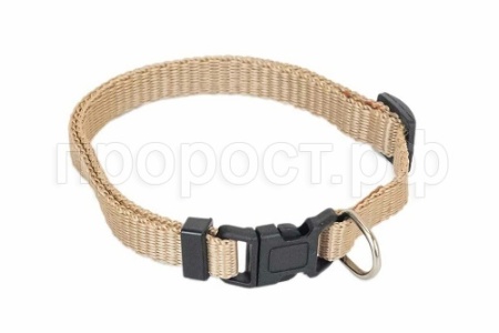 Ошейник синтетика 10мм СПОРТ бежевый 18-28см/011009/Дарэлл