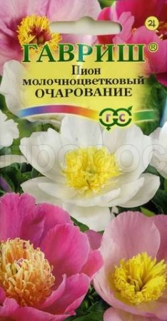 Пион Очарование молочноцв. 3шт  Пион Очарование молочноцв. 3шт