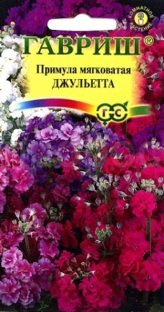 Примула Джульетта, мягковатая 10 шт  Примула Джульетта, мягковатая 10 шт