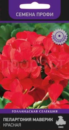 Пеларгония Маверик красная 5шт  Пеларгония Маверик красная 5шт