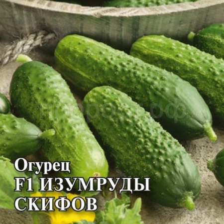 Огурец Изумруды скифов F1 100шт