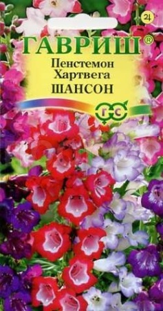 Пенстемон Хартвига Шансон наперстянковый 0,1г  Пенстемон Хартвига Шансон наперстянковый 0,1г