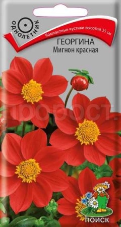 Георгина Мигнон красная 0,2г 