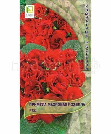 Примула махровая Розелла Ред 5шт  Примула махровая Розелла Ред 5шт