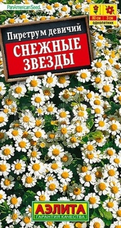 Аэлита Пиретрум Снежные звезды 7шт 