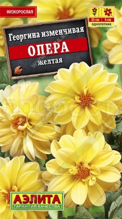 Георгина Опера желтая 7шт