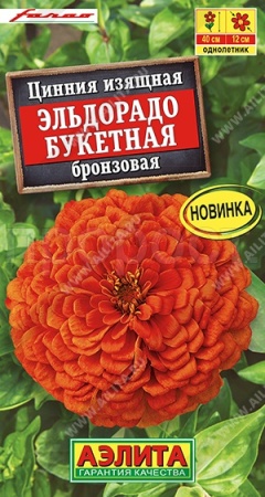 Аэлита Цинния Эльдорадо букетная бронзовая 12шт 