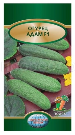 Поиск Огурец Адам F1 10шт