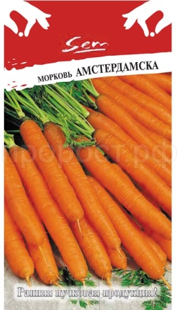 Морковь Амстердамска 2г