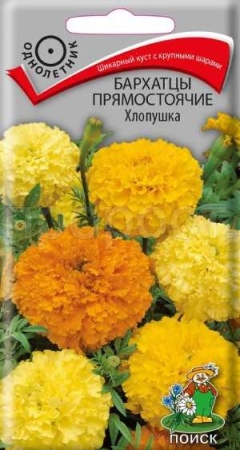Бархатцы Хлопушка 0,4г  Бархатцы Хлопушка 0,4г