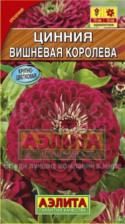 Аэлита Цинния Вишневая королева 0,3г