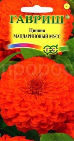 Цинния Мандариновый мусс 0,3г 