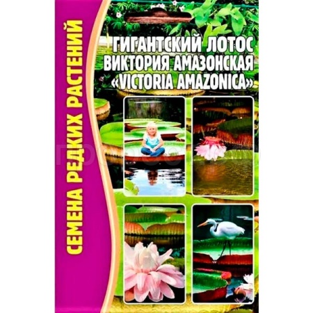 Лотос Гигантский Виктория Амазонская 2 шт