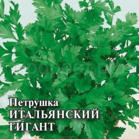 Петрушка Итальянский гигант 50г