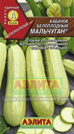 Аэлита Кабачок Белоплодный Мальчуган 1г