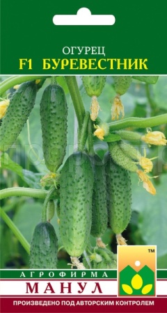 Манул Огурец Буревестник F1 10 шт