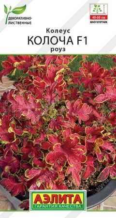 АэлитаКомн. Колеус Колоча F1 роуз 5шт 