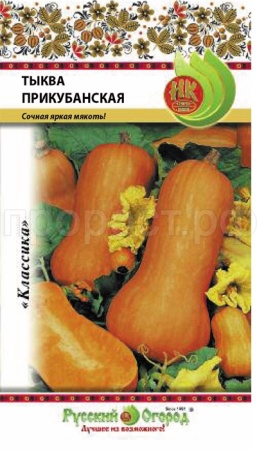 Тыква мускатная Прикубанская 2г