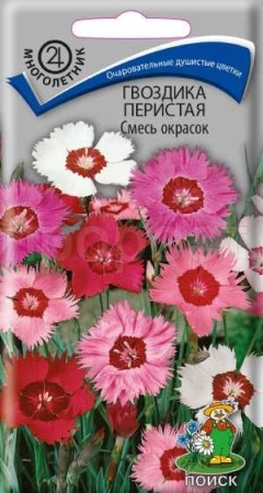 Гвоздика перистая Смесь окрасок 0,3г  Гвоздика перистая Смесь окрасок 0,3г