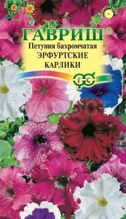 Петуния Эрфутские карлики бахр. 10шт