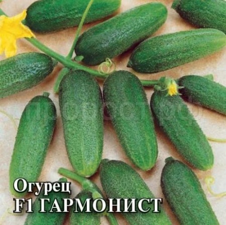 Гавриш Фермерская Огурец Гармонист F1 250шт корнишон