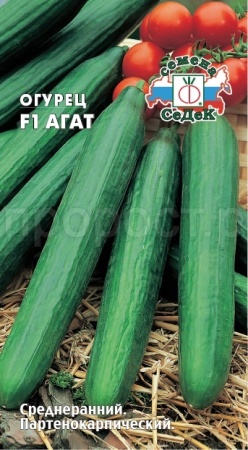 Седек Огурец Агат F1