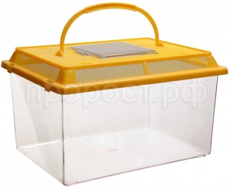 Черепашник с пластиковой крышкой BOX 001 13*9,5*9,5 см Черепашник с пластиковой крышкой BOX 001 13*9,5*9,5 см
