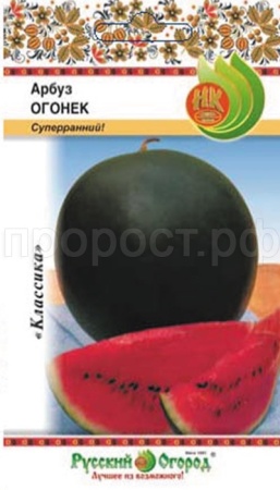 Арбуз Огонек 1г