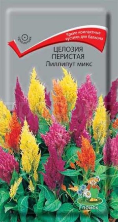 Целозия перистая Лиллипут микс 0,1г