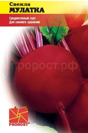 PROROST Свекла Мулатка 2г